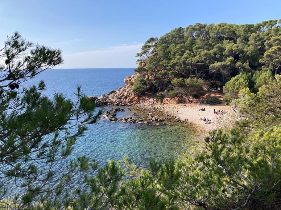 Bandol Roc Beach Vue Mer Grand T3 Face A La Plage Avec Parking 外观 照片